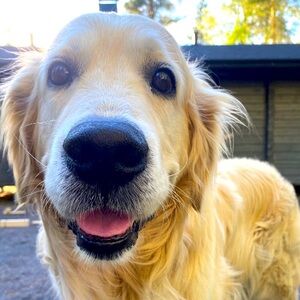 Meet your Posher, Matilda